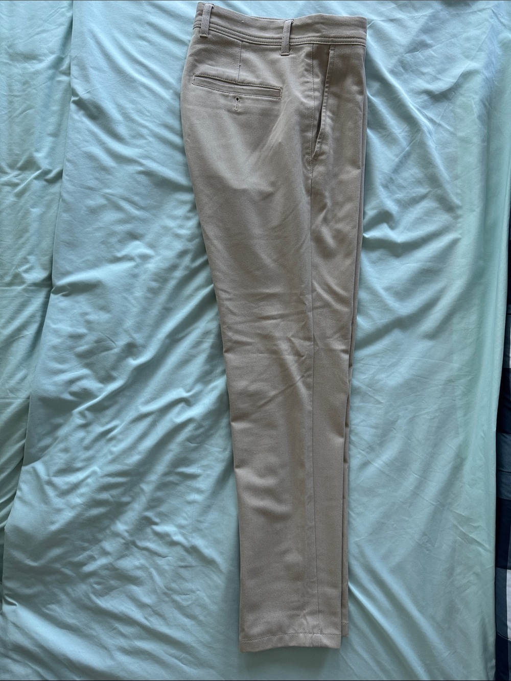 Men's Slim Dress Pants in Beige